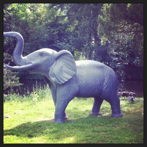 Un éléphant au Jardin d'Acclimatation