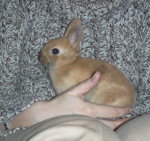 Manwë dans mes bras